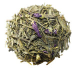 Grön Sencha Kombucha
